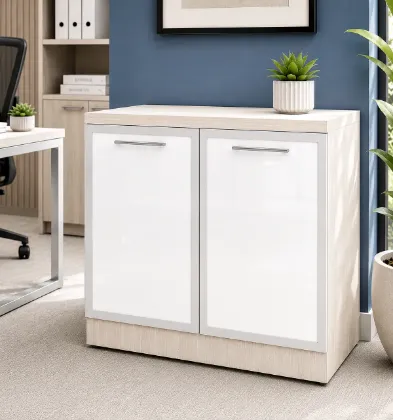 storage cabinet with glass doors