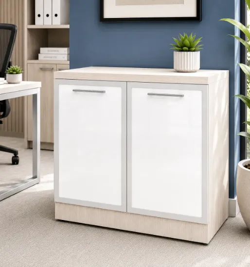 storage cabinet with glass doors