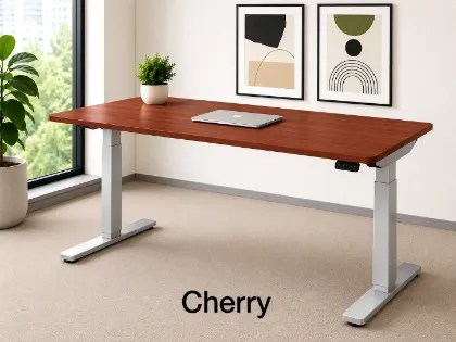 	electric standing desk with memory handset