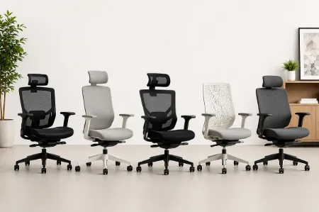Picture for category Ergonomic Office Chairs