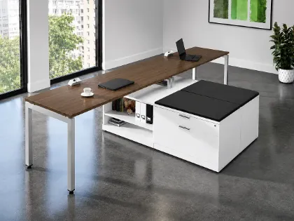 	Executive 2 Person Desk with Storage