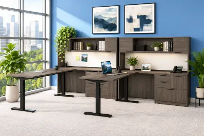 2-Person Adjustable Height Desk 