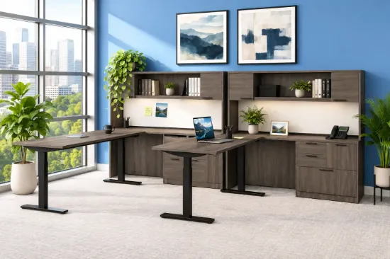 2-Person Adjustable Height Desk 