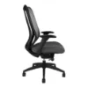 Buzz Seating Cloud black ergonomic office chair with mesh back, molded foam seat, seat slider, multi-function arms, and synchro-tilt mechanism