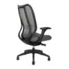 Buzz Seating Cloud black ergonomic office chair with mesh back, molded foam seat, seat slider, multi-function arms, and synchro-tilt mechanism