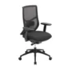 Starlight high back luxe ergonomic task chair with textured mesh back, seat slider, 4D adjustable arms, height-adjustable lumbar support, synchro-tilt, and black frame