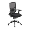 Starlight high back luxe ergonomic task chair with textured mesh back, seat slider, 4D adjustable arms, height-adjustable lumbar support, synchro-tilt, and black frame