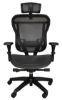 Picture of Buzz Seating Rika Ergonomic Mesh Office Chair – Display Model, Never Used