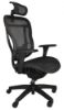 Picture of Buzz Seating Rika Ergonomic Mesh Office Chair – Display Model, Never Used